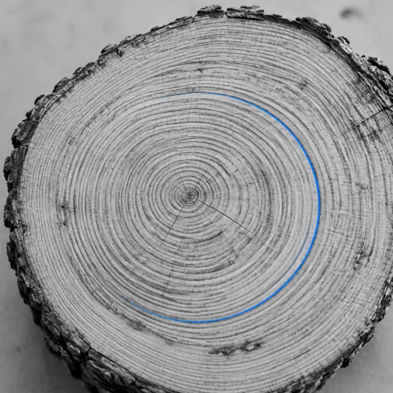 Construire un data layer marketing propre : le minimum viable pour ne plus perdre vos signaux analytics