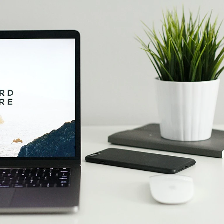 Devenir un expert en développement commercial